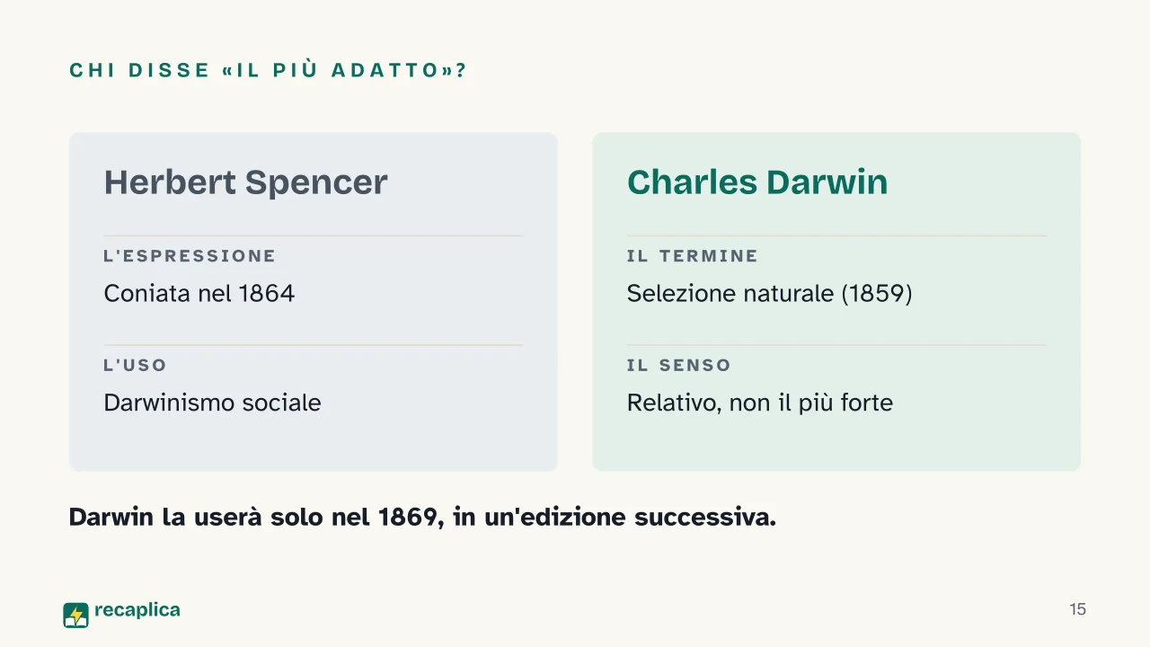 Slide 15 della presentazione su Teoria dell'evoluzione di Darwin: Chi disse «il più adatto»?