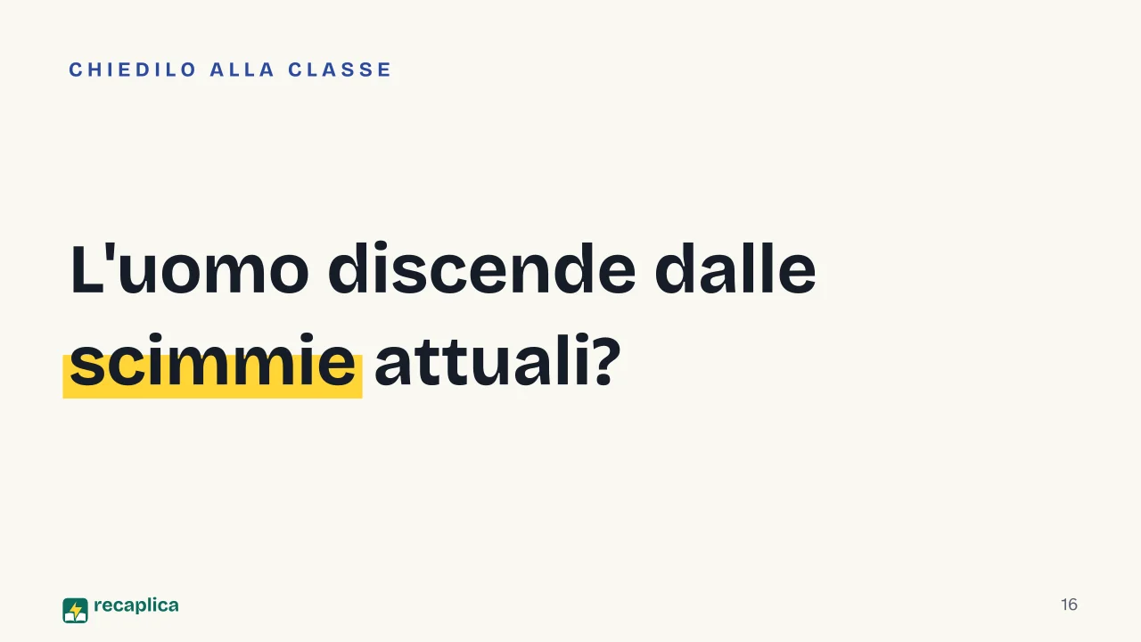 Slide 16 della presentazione su Teoria dell'evoluzione di Darwin: L'uomo discende dalle scimmie attuali?