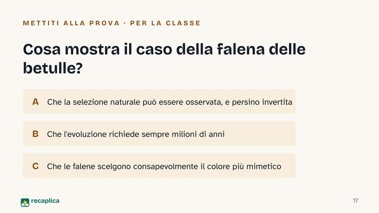 Slide 17 della presentazione su Teoria dell'evoluzione di Darwin: Cosa mostra il caso della falena delle betulle?