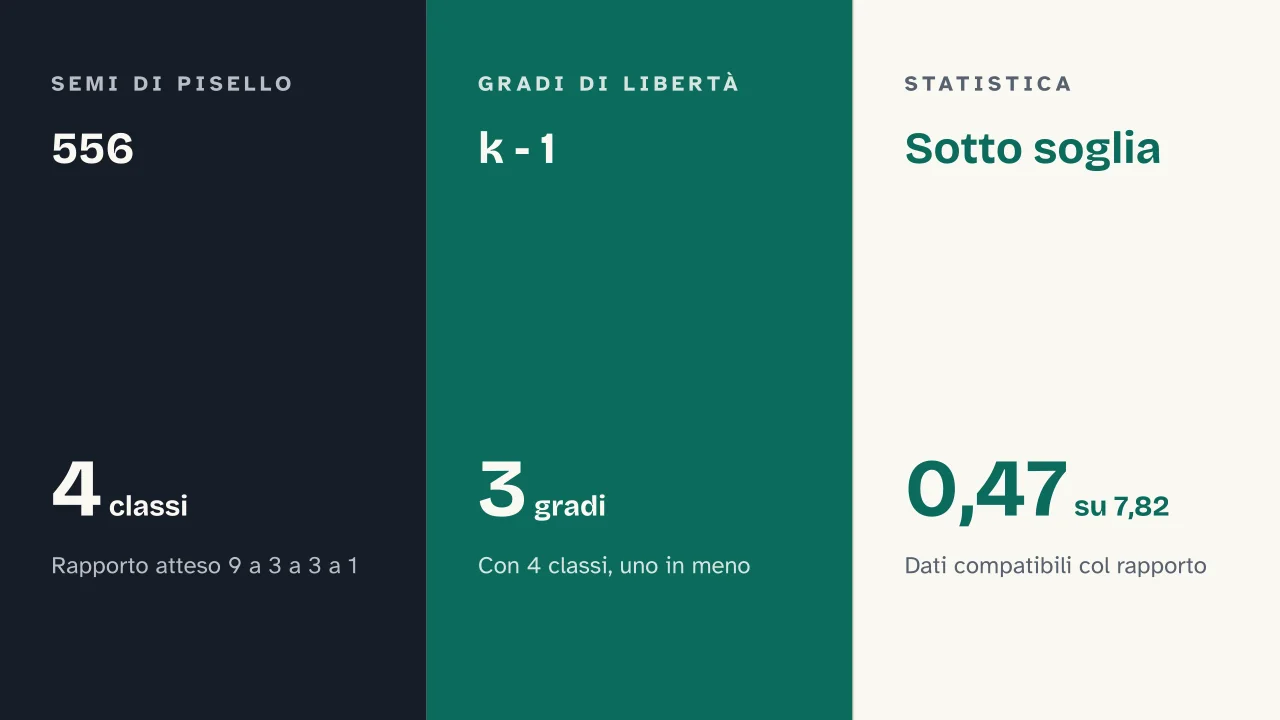 Slide 10 della presentazione su Chi quadrato: 556 · k - 1 · Sotto soglia