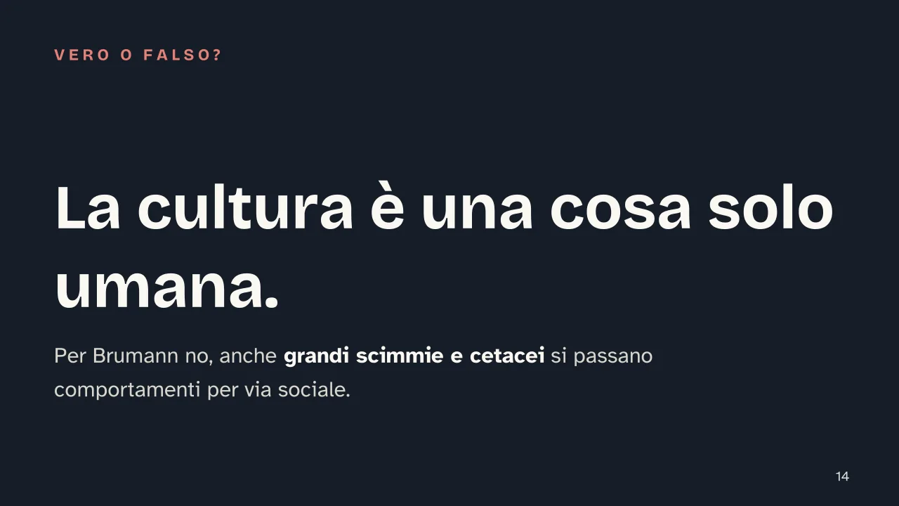 Slide 14 della presentazione su Definizione di cultura in antropologia, da Tylor a Geertz: La cultura è una cosa solo umana.