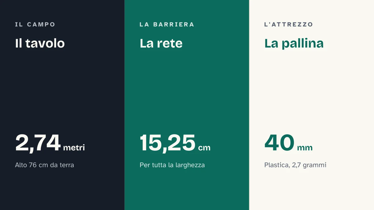 Slide 11 della presentazione su Le regole del ping pong: Il tavolo · La rete · La pallina