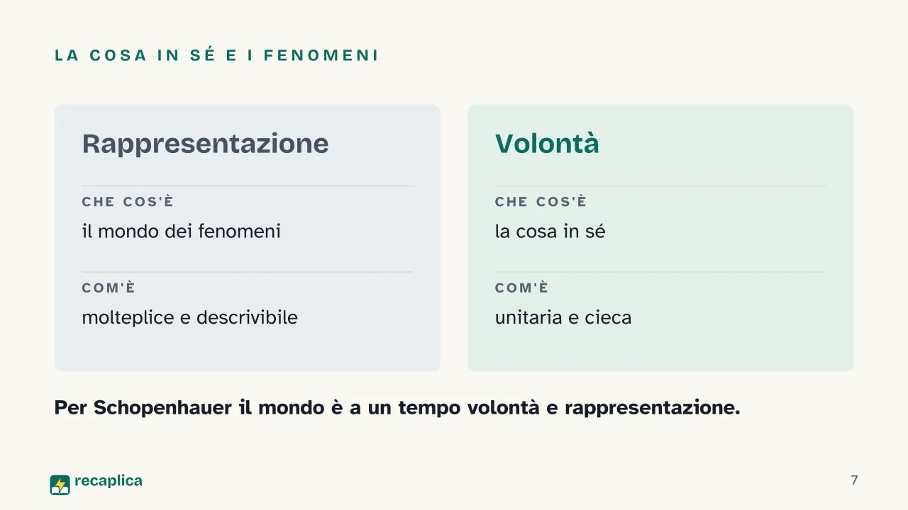Slide 7 della presentazione su Schopenhauer: La cosa in sé e i fenomeni