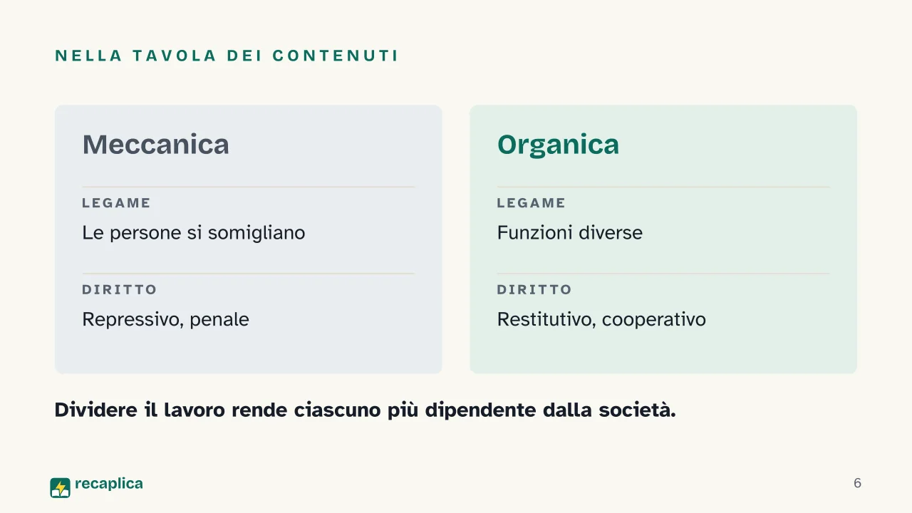 Slide 6 della presentazione su Solidarietà meccanica e organica: Nella tavola dei contenuti