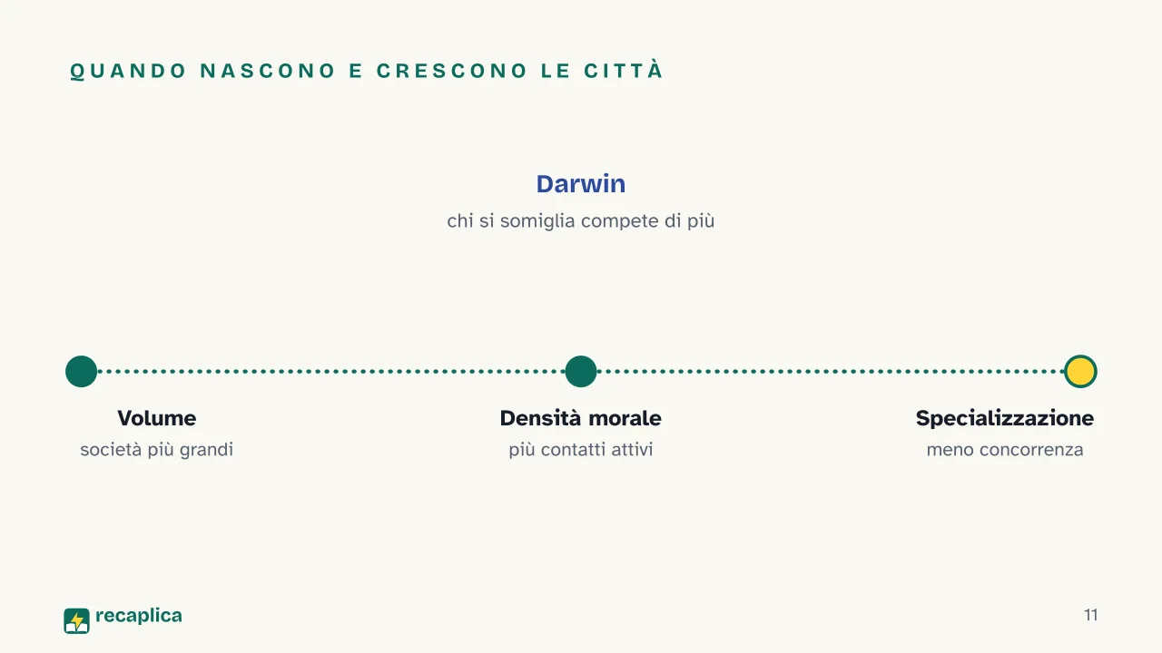 Slide 11 della presentazione su Solidarietà meccanica e organica: Quando nascono e crescono le città