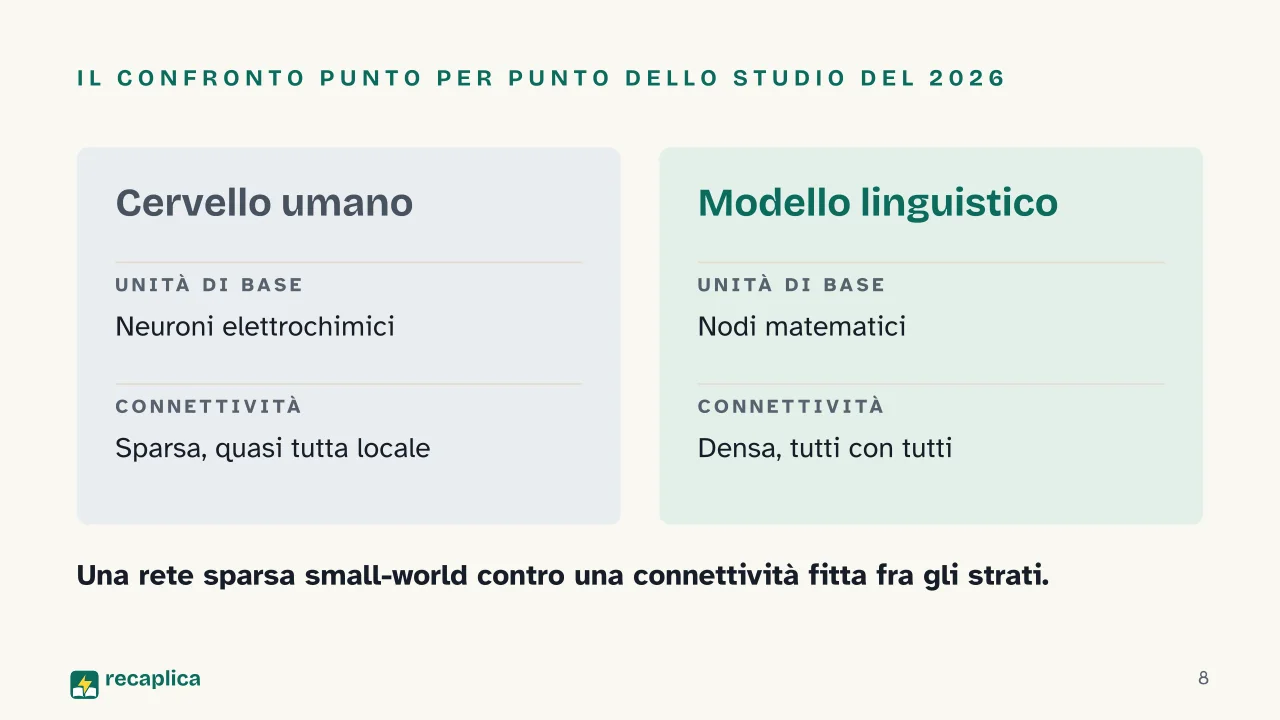 Slide 8 della presentazione su Cognizione umana e intelligenza artificiale: Il confronto punto per punto dello studio del 2026