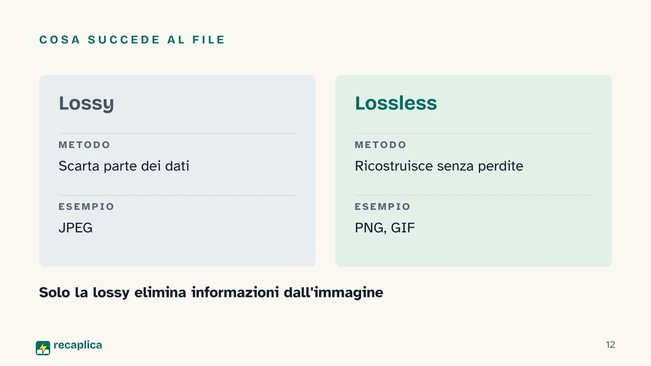 Slide 12 della presentazione su Immagine vettoriale e bitmap: Cosa succede al file