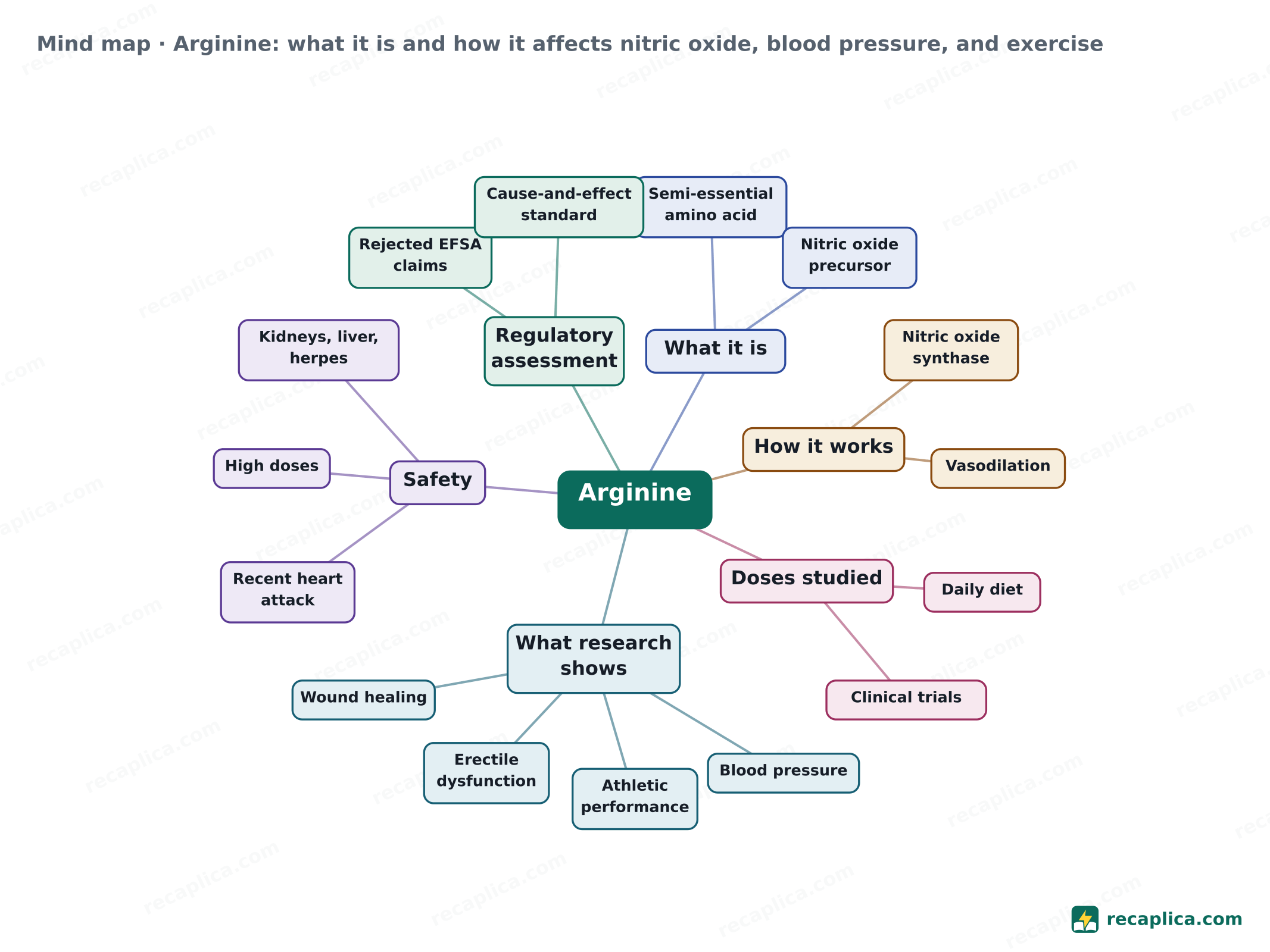 Mind map: Arginine: what it is and how it affects nitric oxide, blood pressure, and exercise