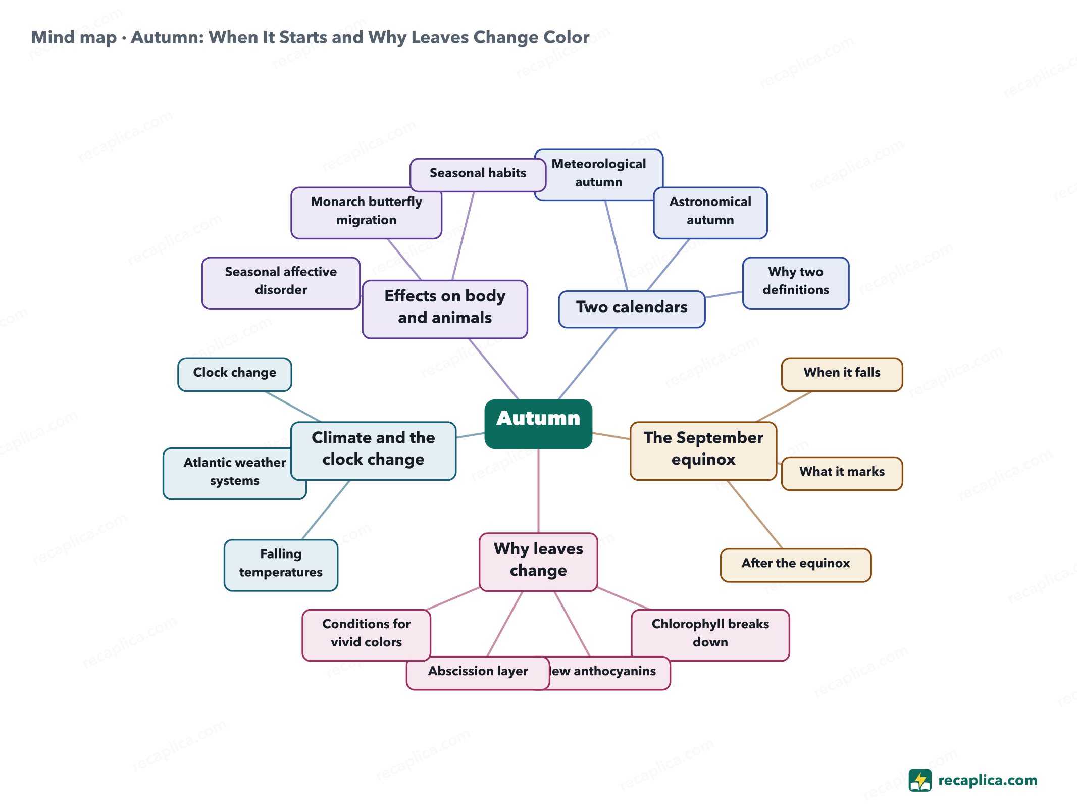 Mind map: Autumn: When It Starts and Why Leaves Change Color