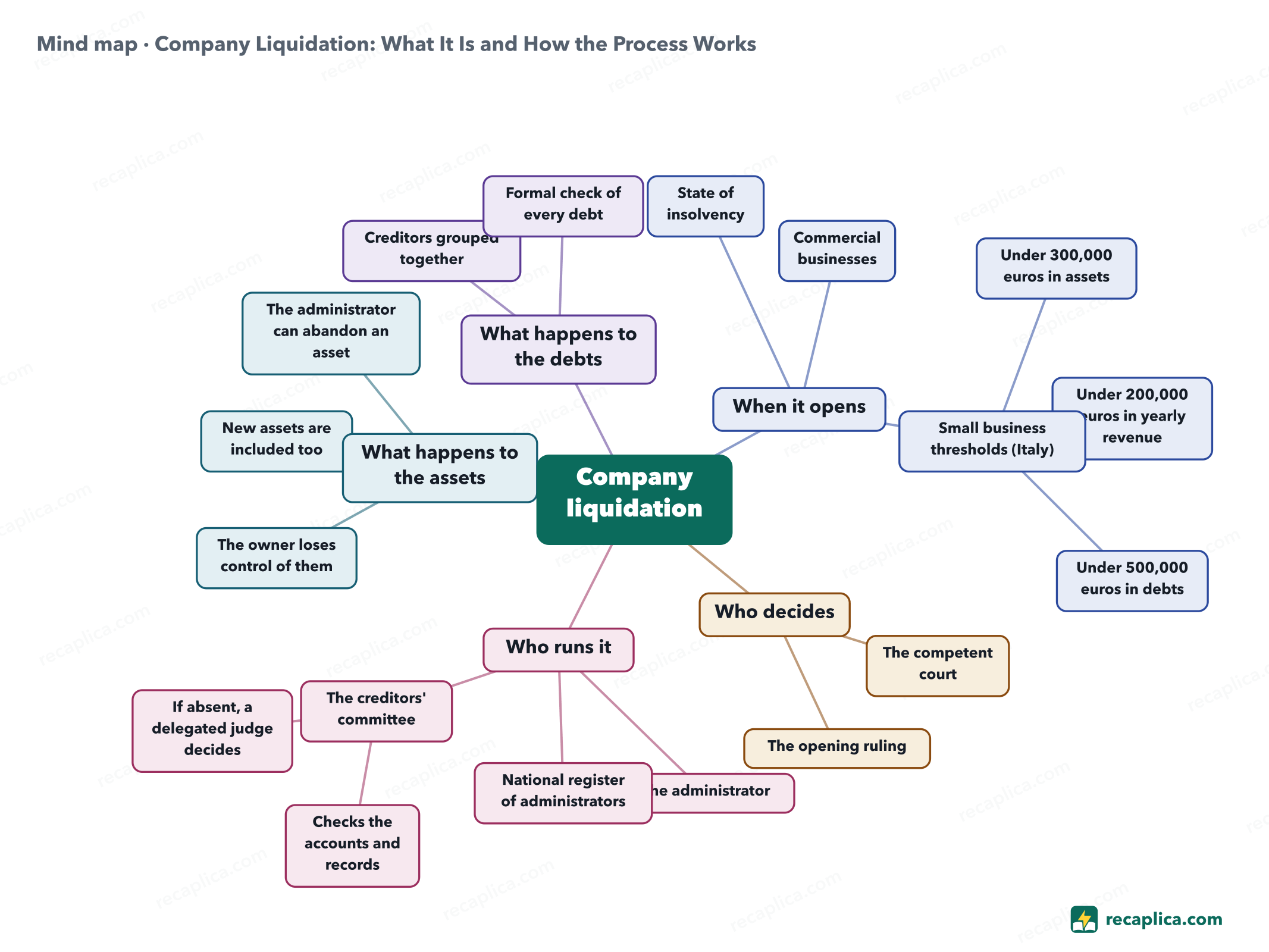 Mind map: Company Liquidation: What It Is and How the Process Works