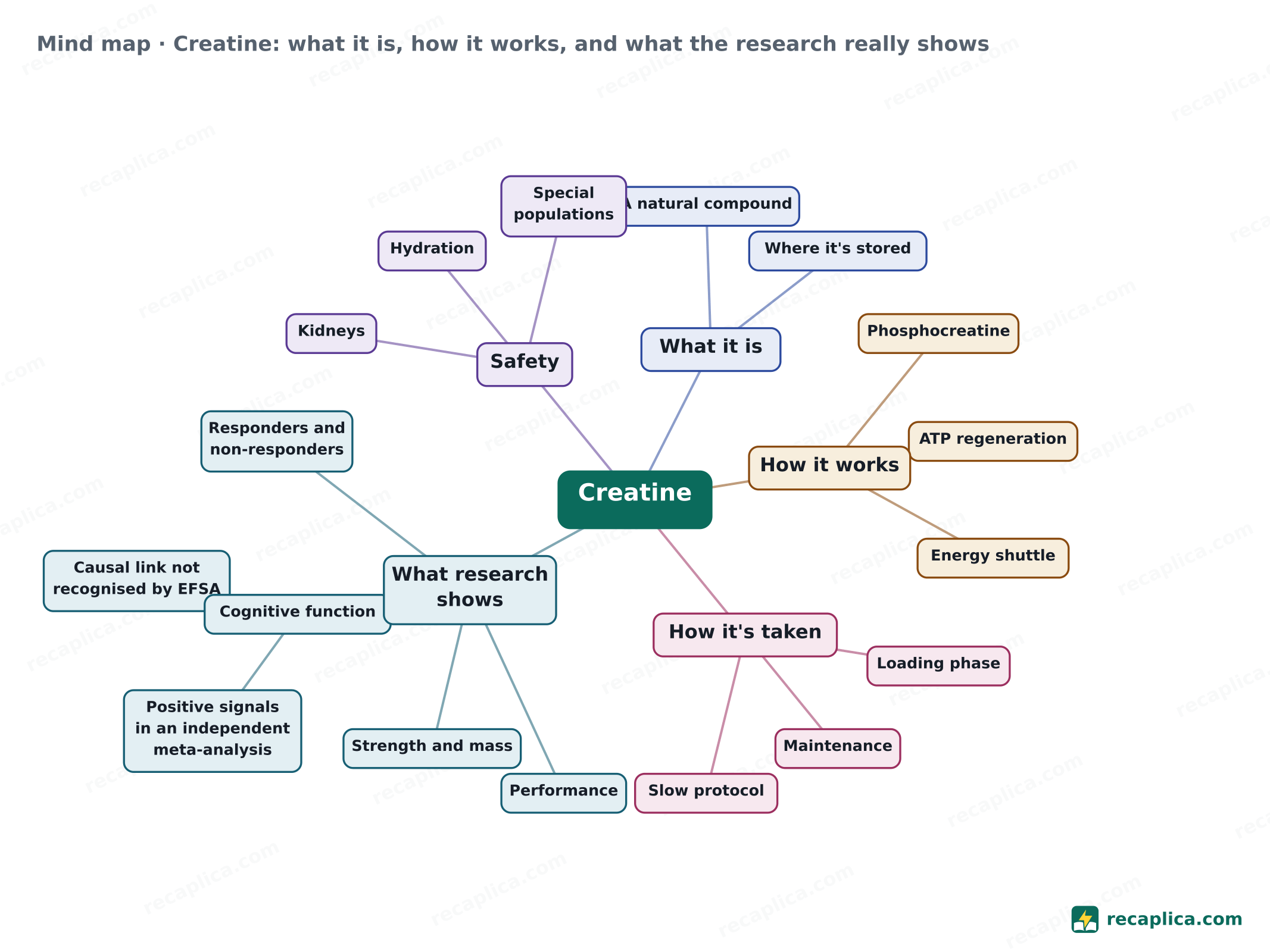 Mind map: Creatine: what it is, how it works, and what the research really shows