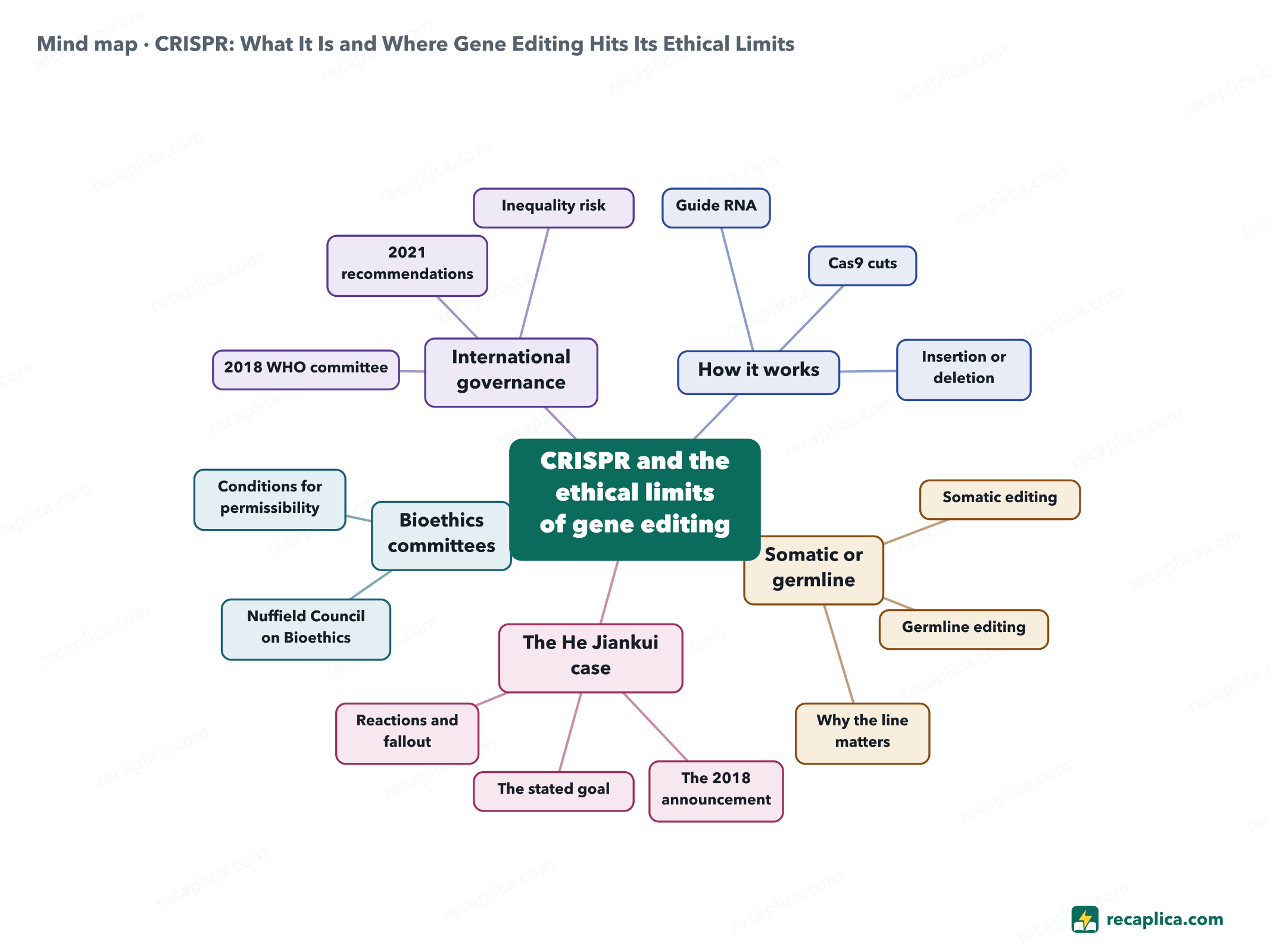 Mind map: CRISPR: What It Is and Where Gene Editing Hits Its Ethical Limits