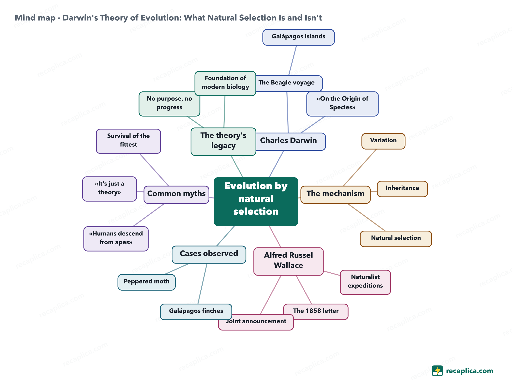Mind map: Darwin's Theory of Evolution: What Natural Selection Is and Isn't