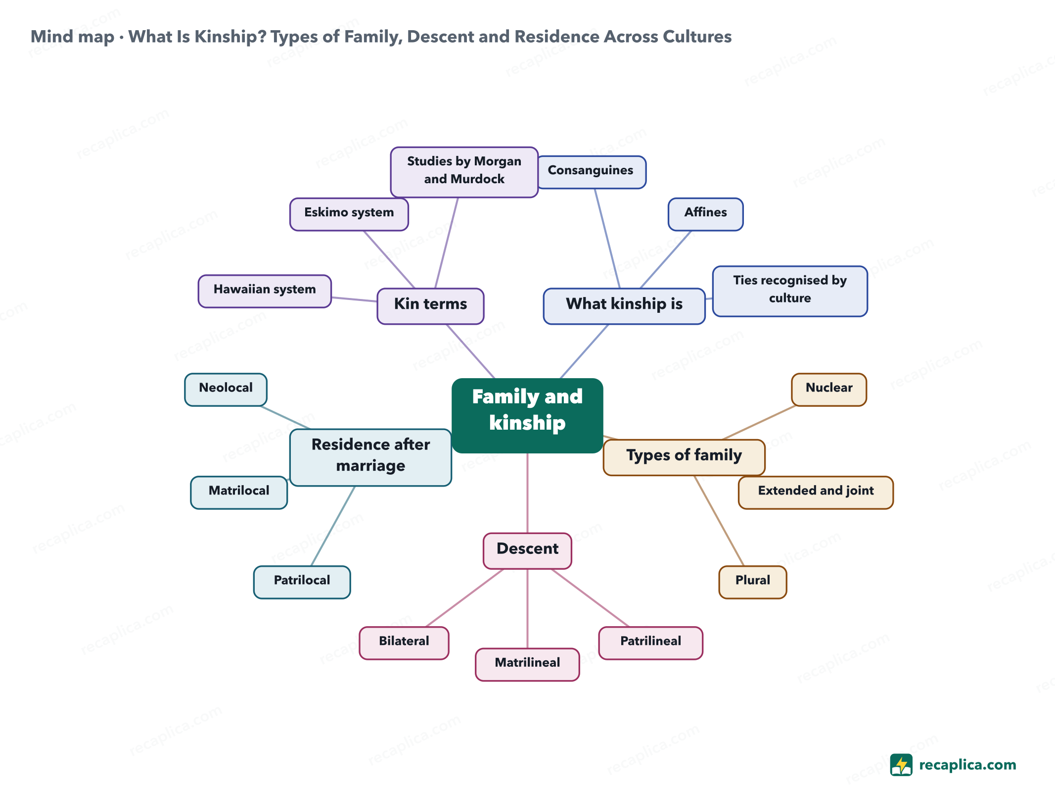 Mind map: What Is Kinship? Types of Family, Descent and Residence Across Cultures