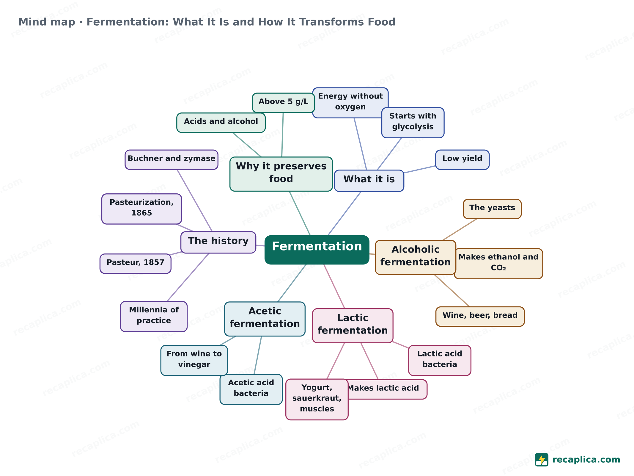 Mind map: Fermentation: What It Is and How It Transforms Food