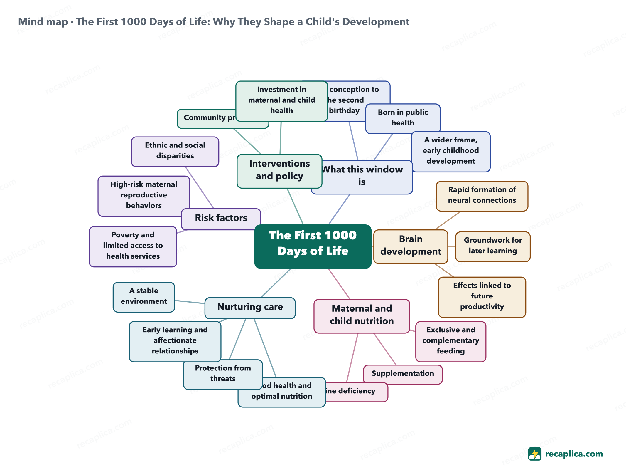 Mind map: The First 1000 Days of Life: Why They Shape a Child's Development