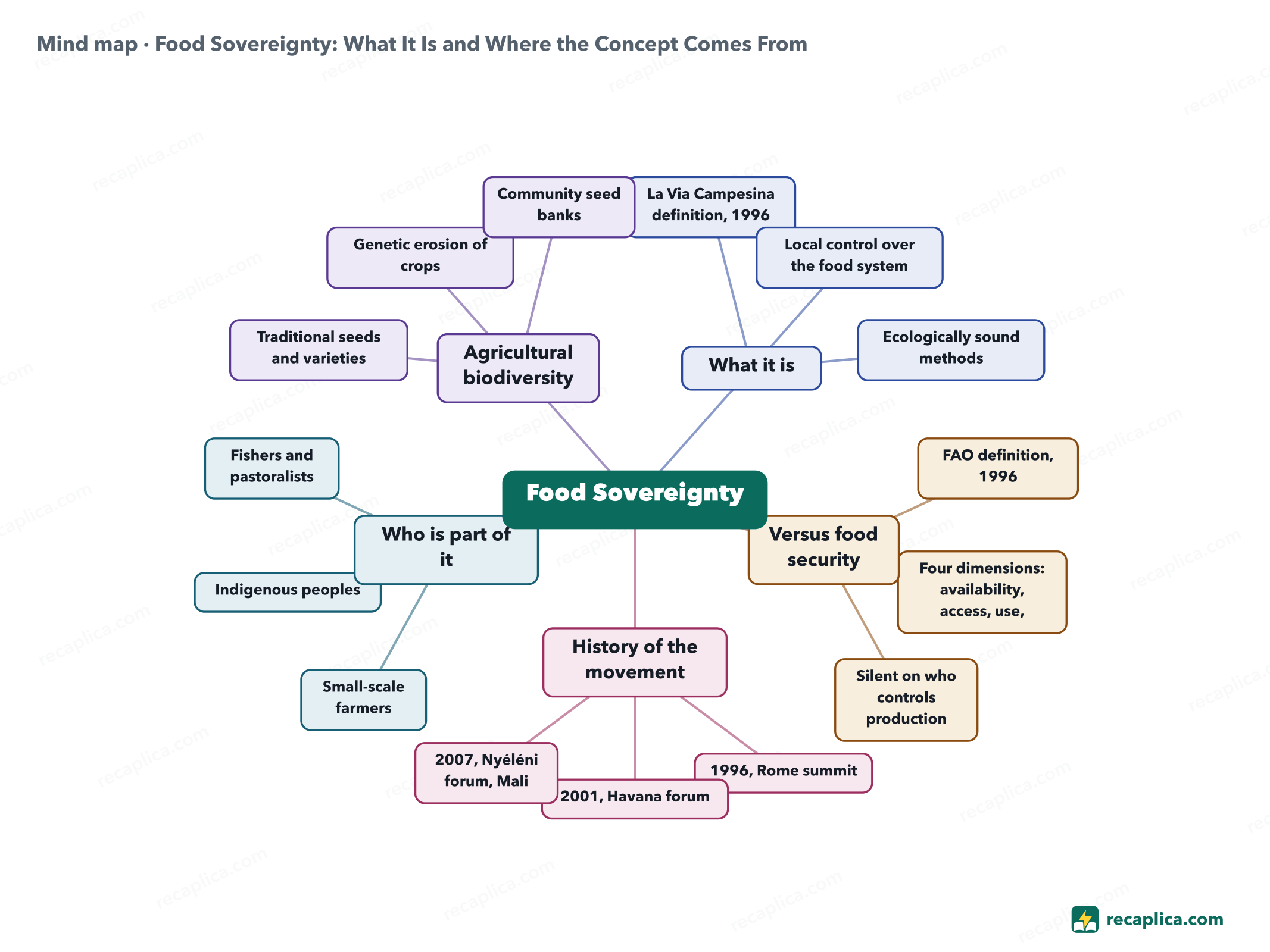Mind map: Food Sovereignty: What It Is and Where the Concept Comes From