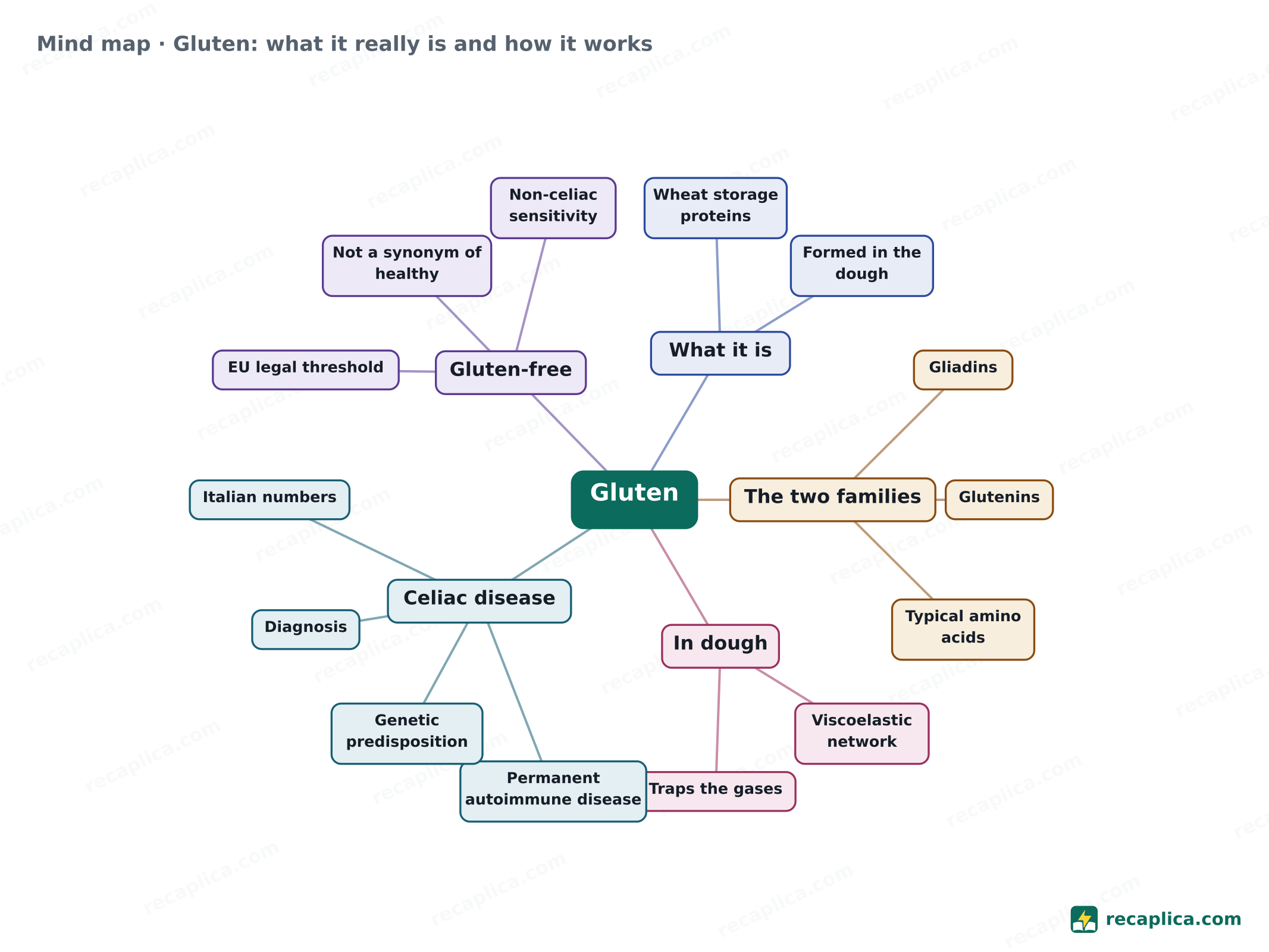 Mind map: Gluten: what it really is and how it works