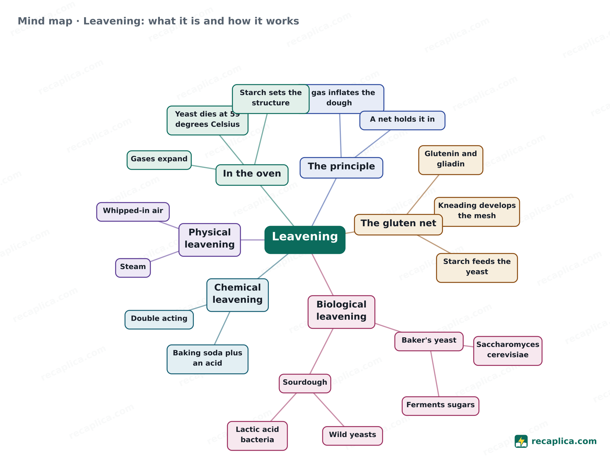 Mind map: Leavening: what it is and how it works