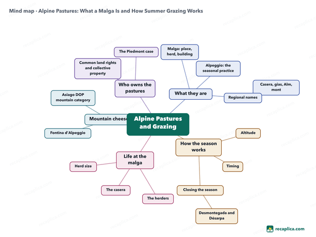 Mind map: Alpine Pastures