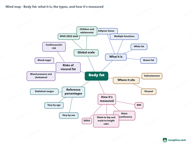 Mind map: Body fat