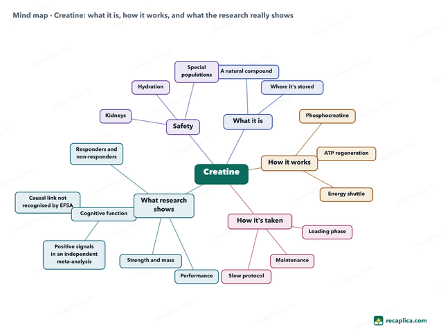 Mind map: Creatine