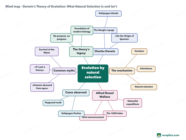 Mind map: Darwin's Theory of Evolution