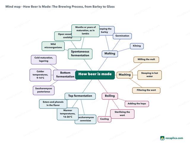 Mind map: How Beer Is Made