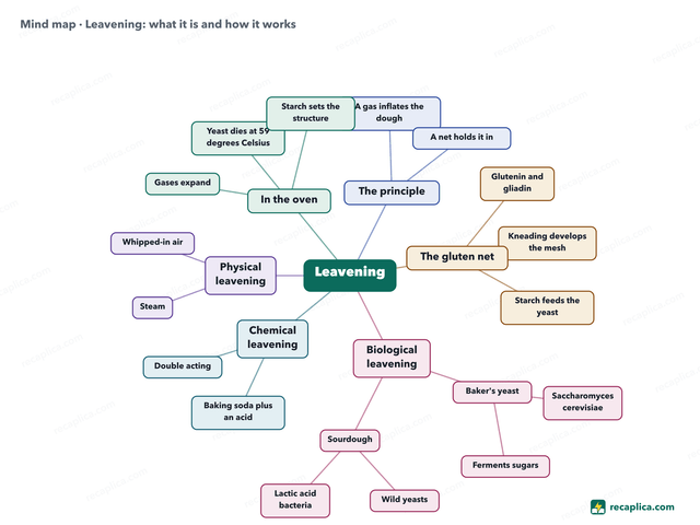 Mind map: Leavening