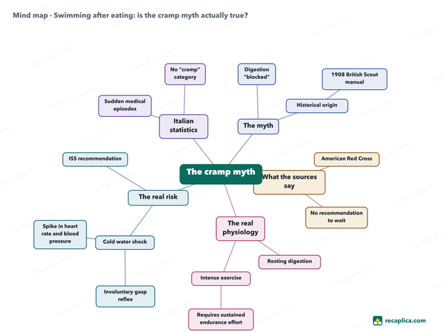 Mind map: Swimming after eating