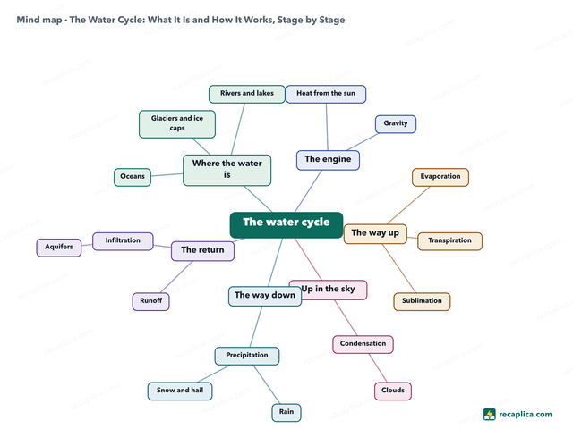 Mind map: The Water Cycle
