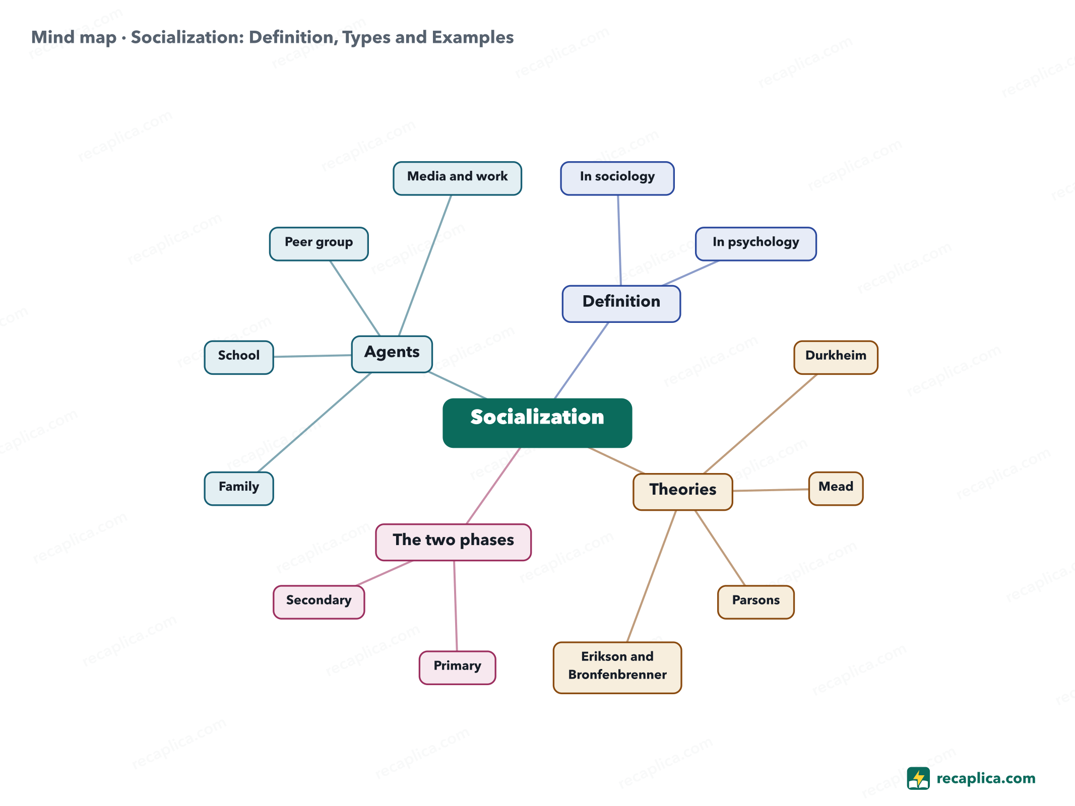 Mind map: Socialization: Definition, Types and Examples