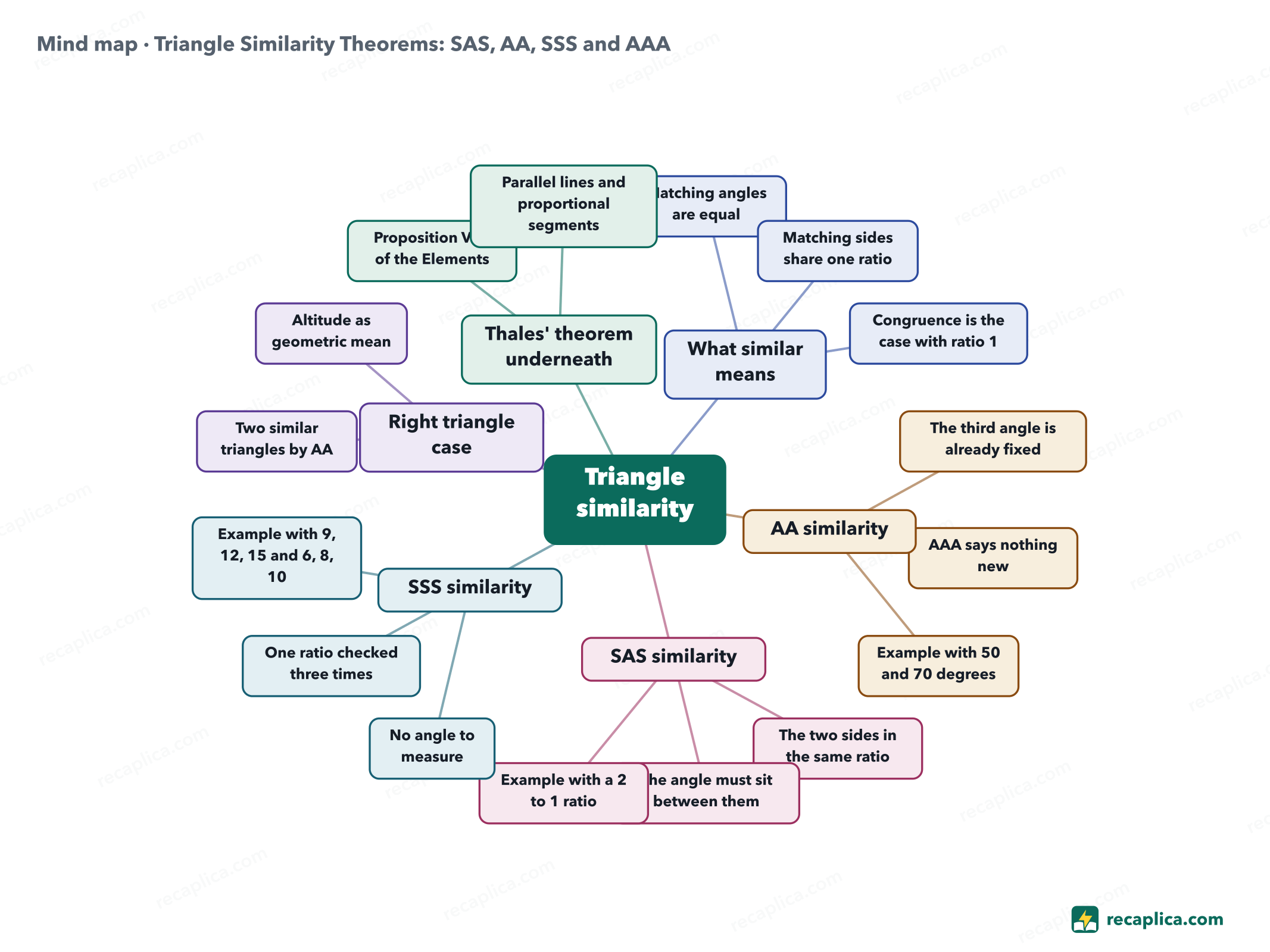 Mind map: Triangle Similarity Theorems: SAS, AA, SSS and AAA