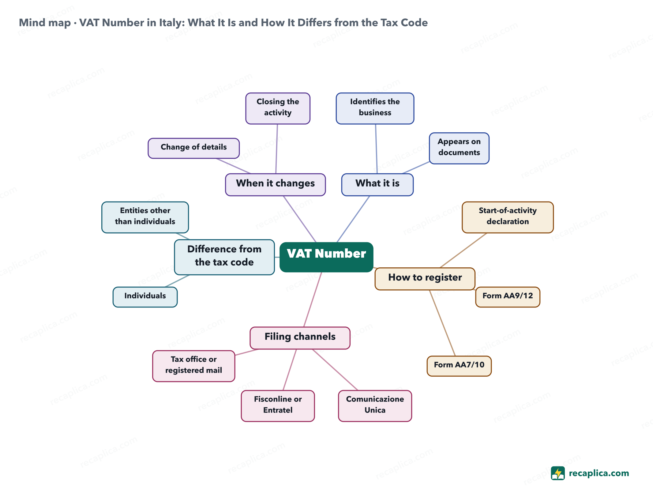 Mind map: VAT Number in Italy: What It Is and How It Differs from the Tax Code