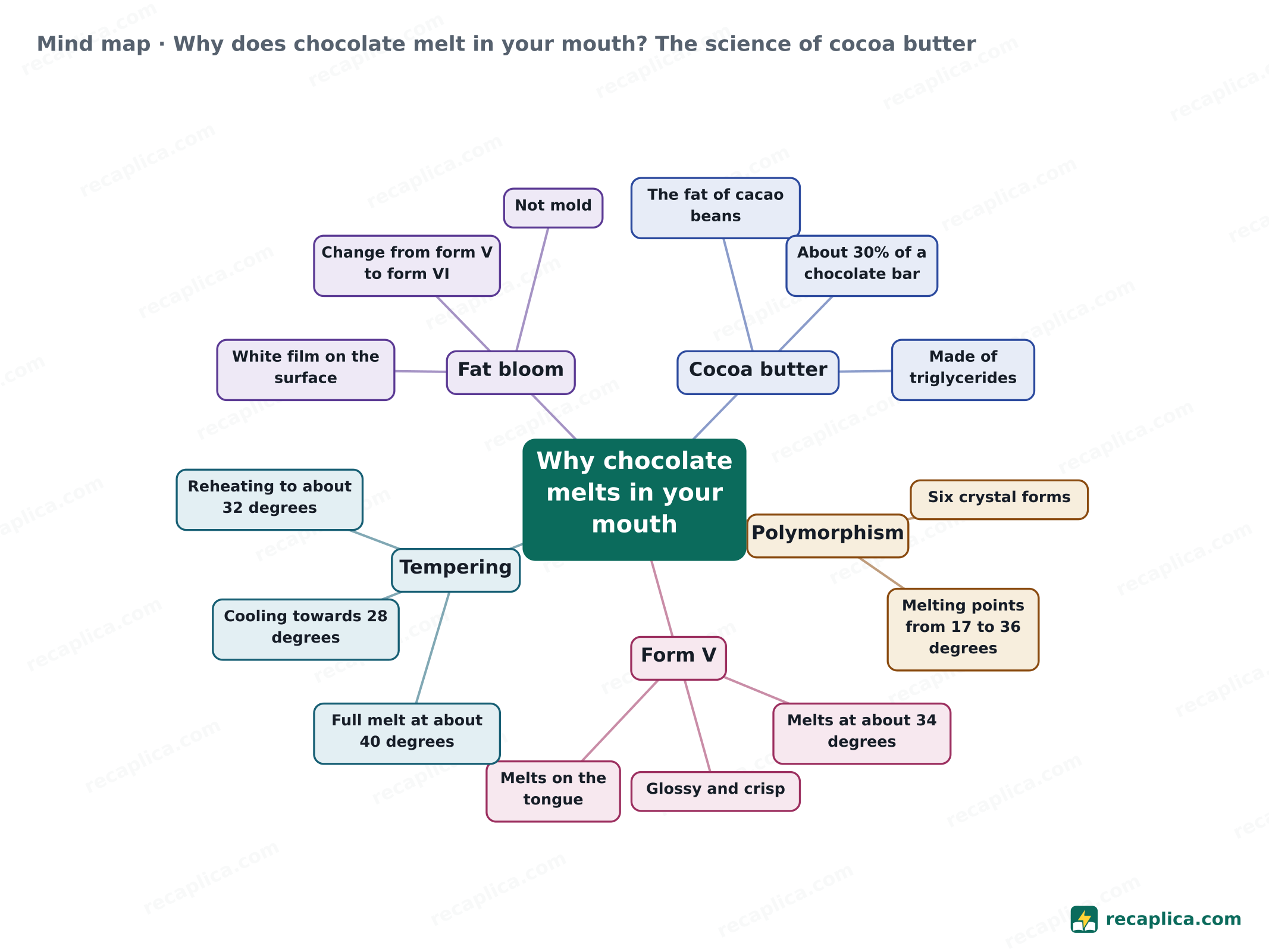 Mind map: Why does chocolate melt in your mouth? The science of cocoa butter
