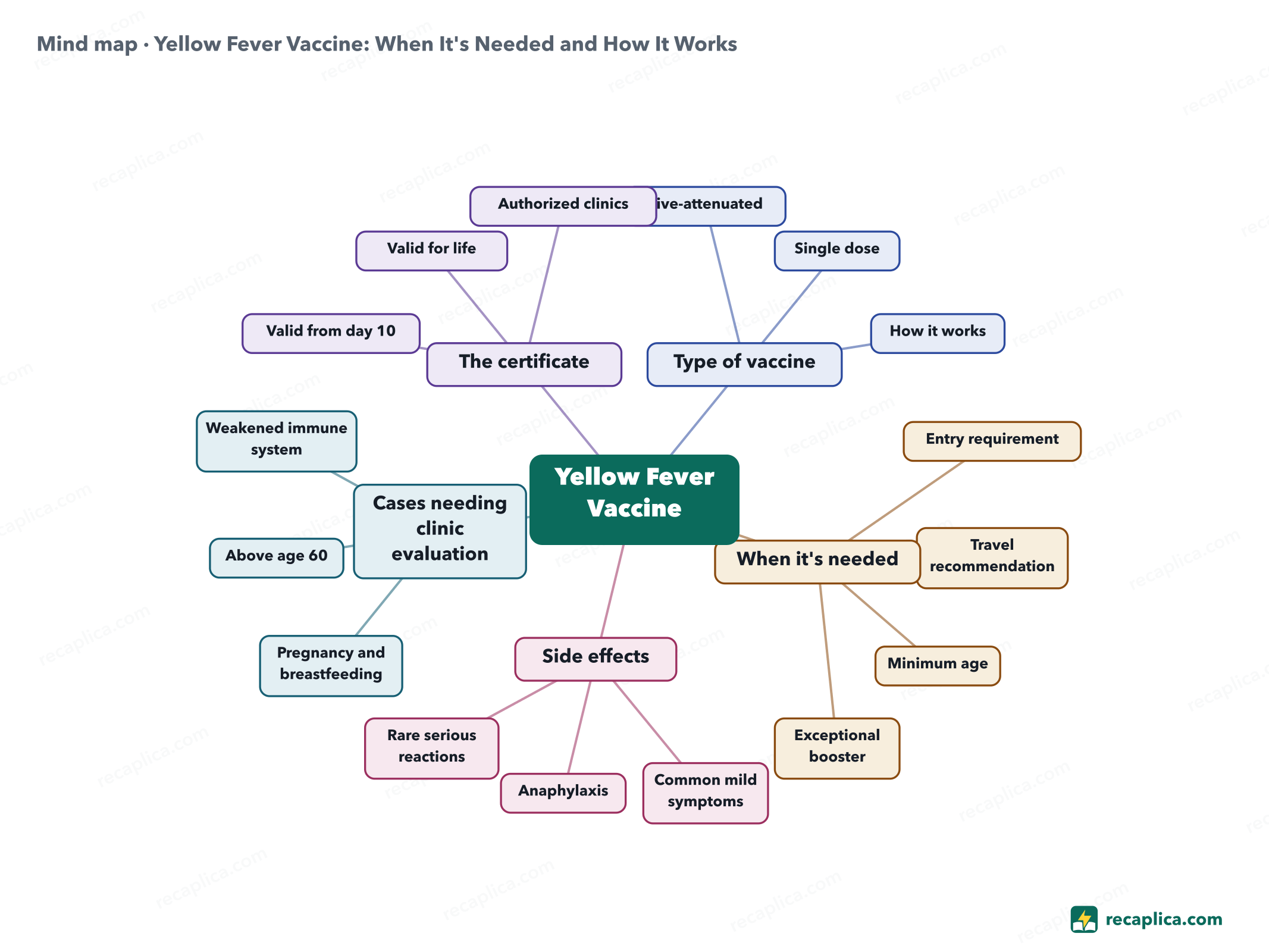 Mind map: Yellow Fever Vaccine: When It's Needed and How It Works