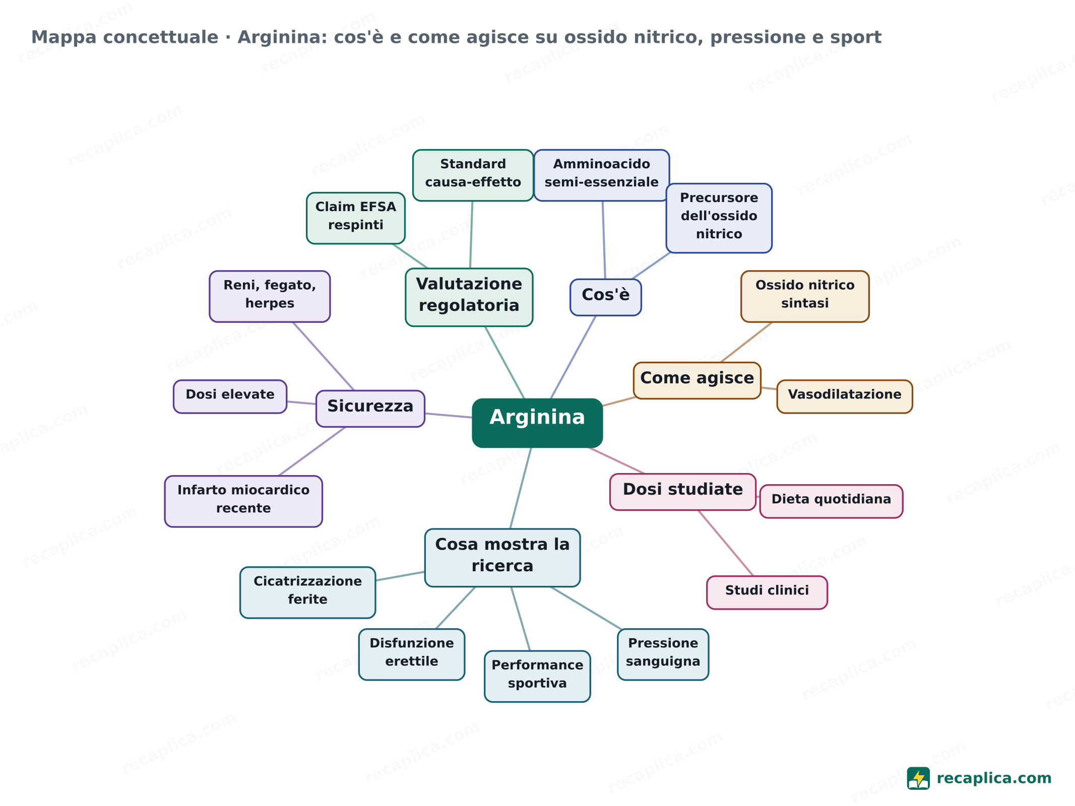 Mappa concettuale: Arginina: cos'è e come agisce su ossido nitrico, pressione e sport