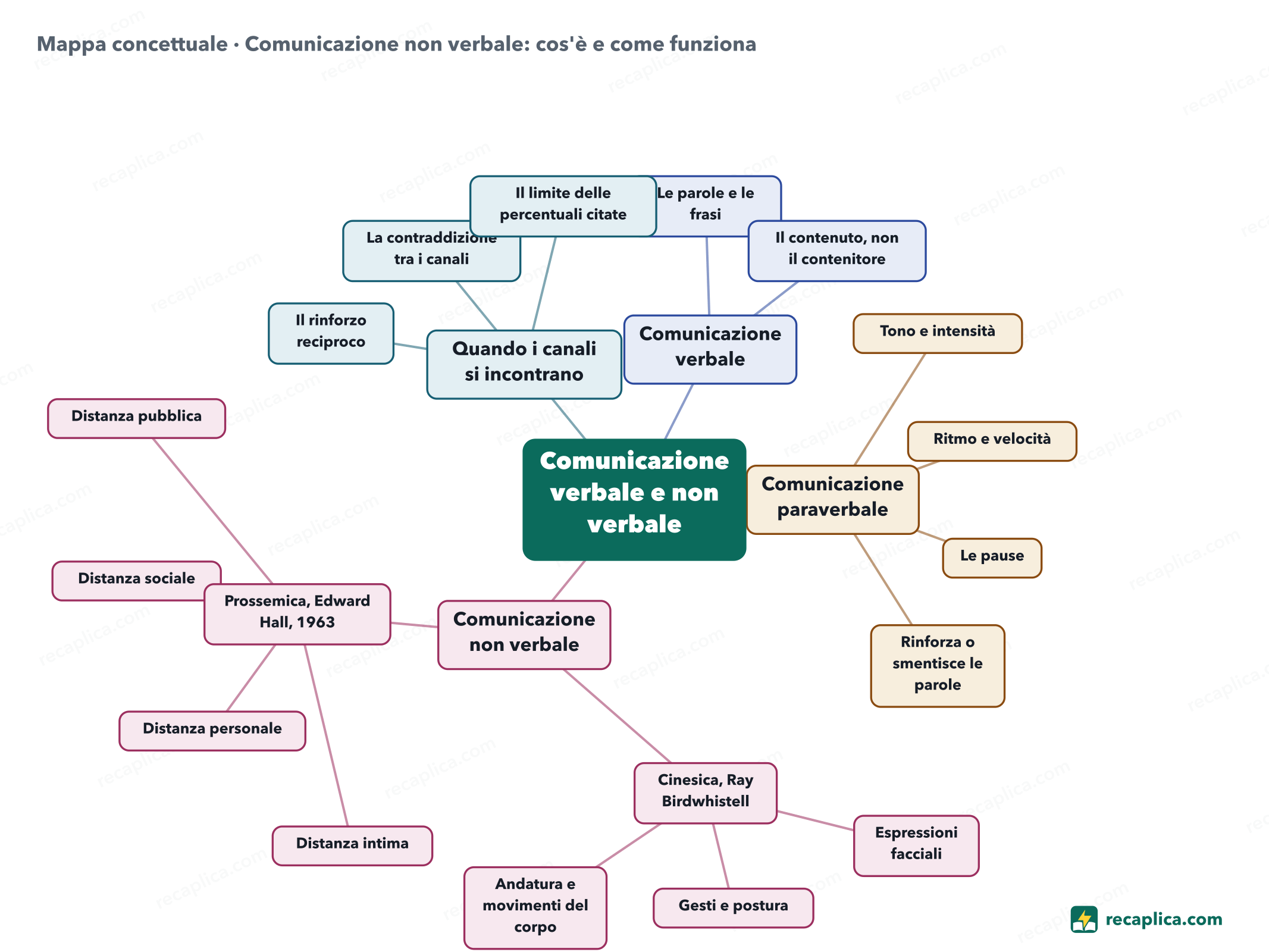 Mappa concettuale: Comunicazione non verbale: cos'è e come funziona