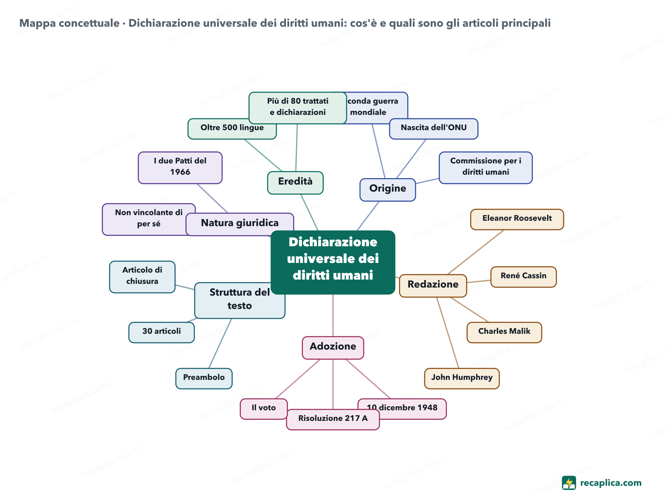 Mappa concettuale: Dichiarazione universale dei diritti umani: cos'è e quali sono gli articoli principali
