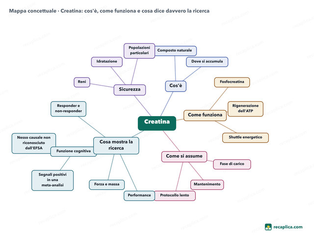 Mappa concettuale: Creatina