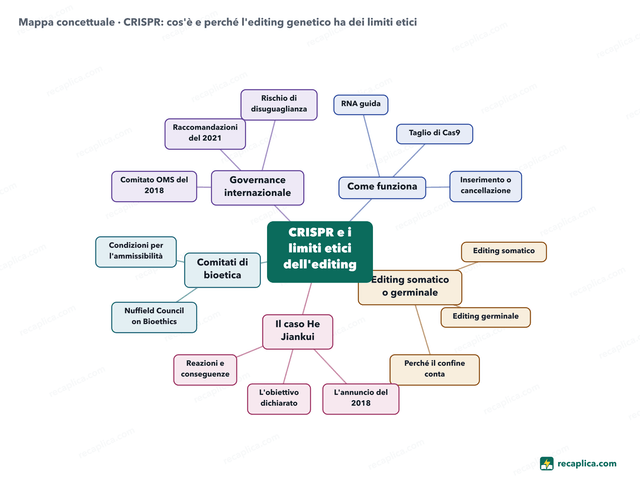 Mappa concettuale: CRISPR