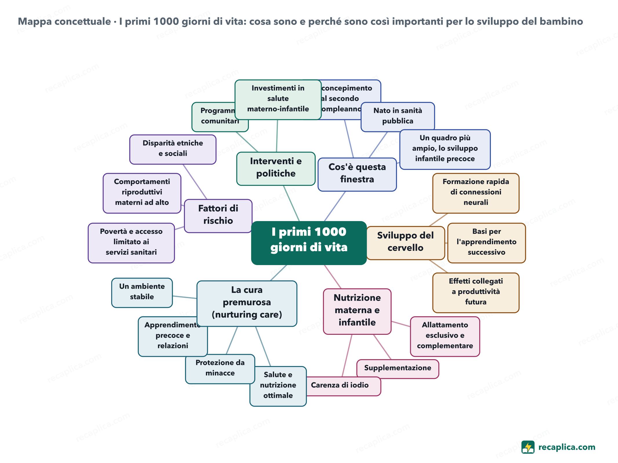 Mappa concettuale: I primi 1000 giorni di vita: cosa sono e perché sono così importanti per lo sviluppo del bambino