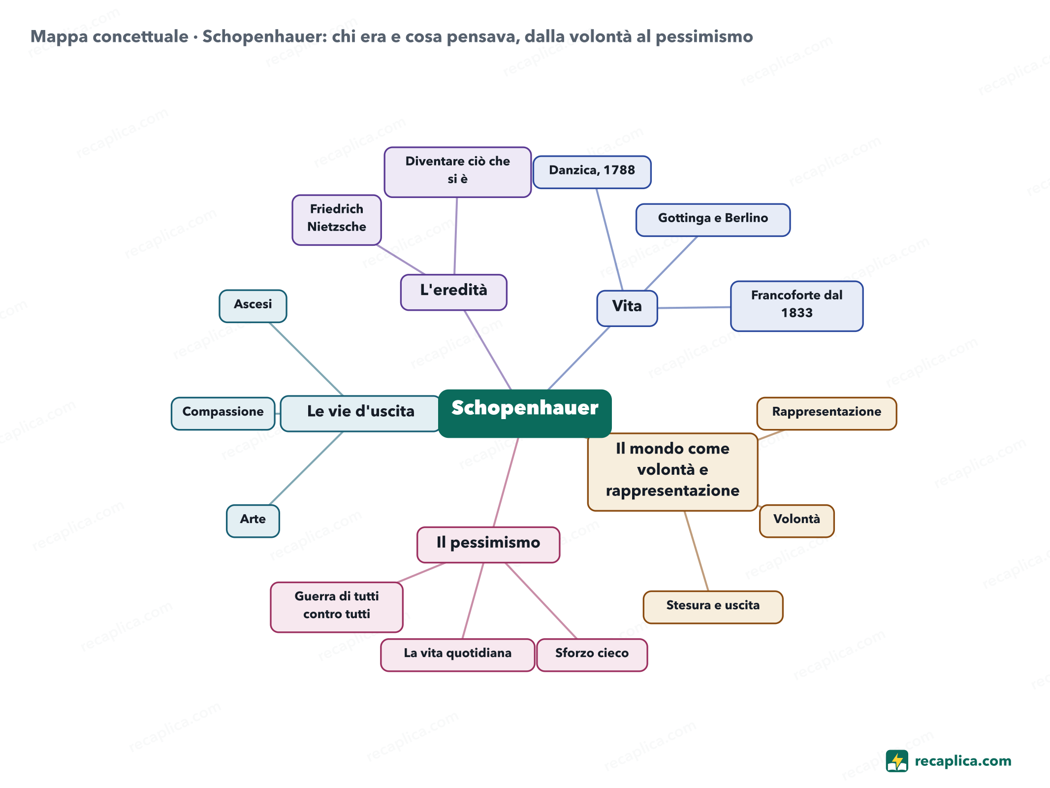 Mappa concettuale: Schopenhauer: chi era e cosa pensava, dalla volontà al pessimismo