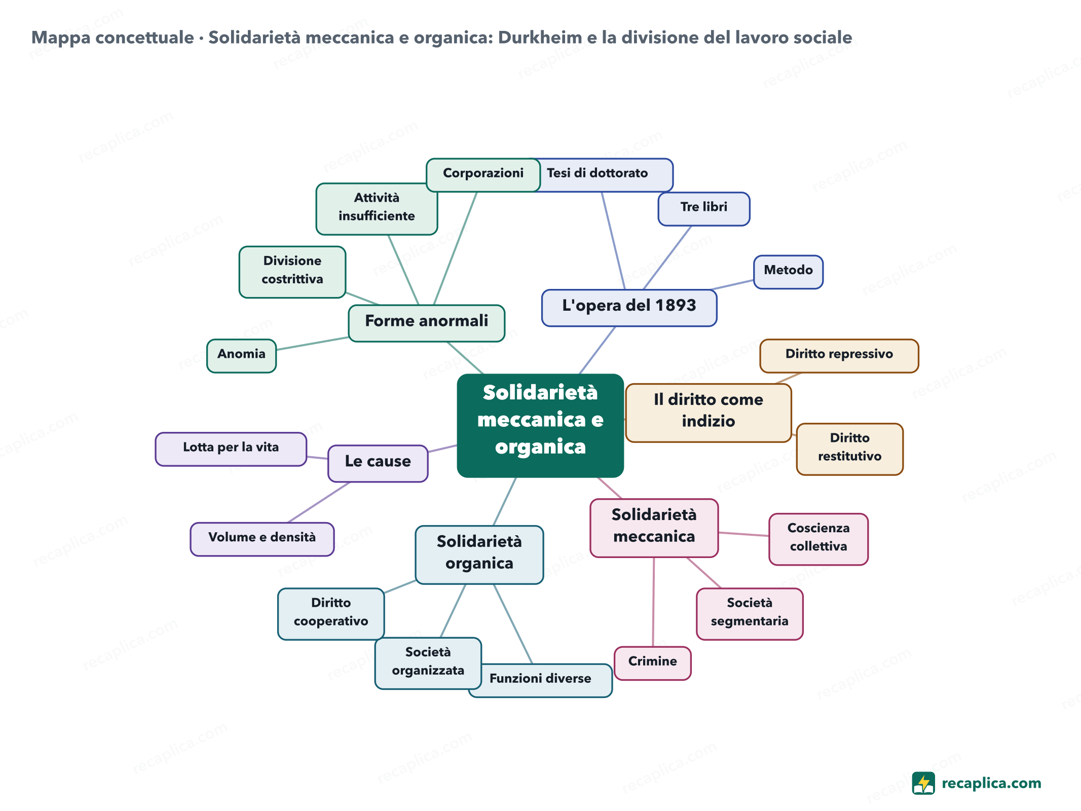 Mappa concettuale: Solidarietà meccanica e organica: Durkheim e la divisione del lavoro sociale