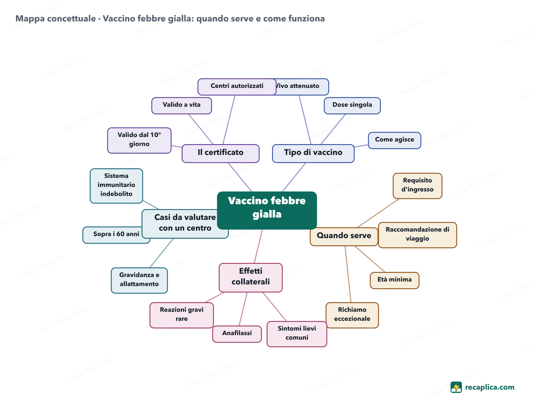 Mappa concettuale: Vaccino febbre gialla: quando serve e come funziona